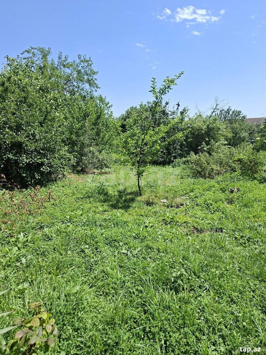 Həyət evi, Şəki ş. (4)