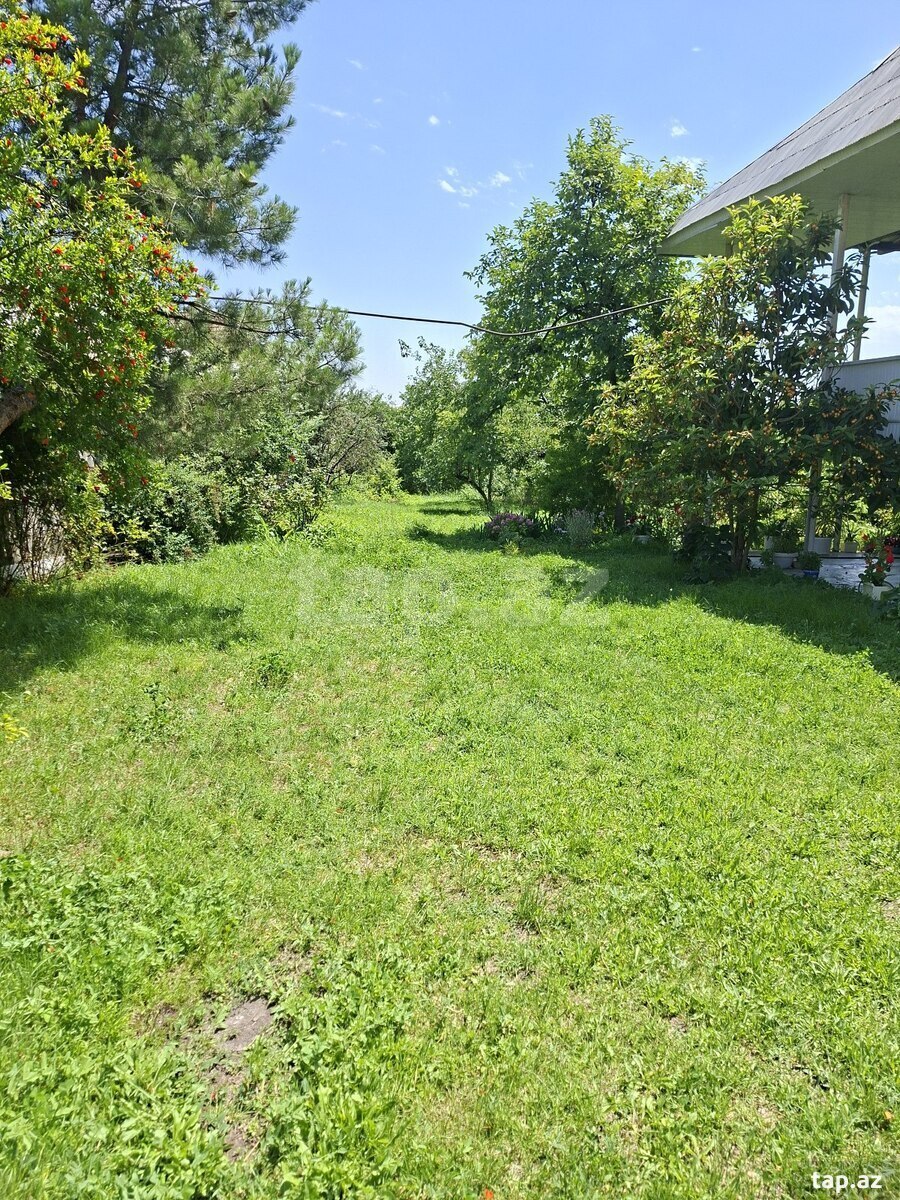Həyət evi, Şəki ş. (8)