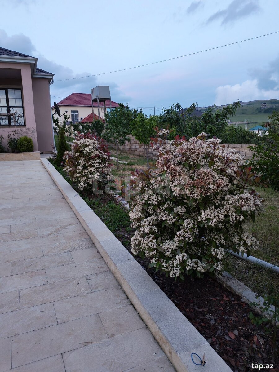Bağ evi kirayə verilir, Şamaxı r. (15)