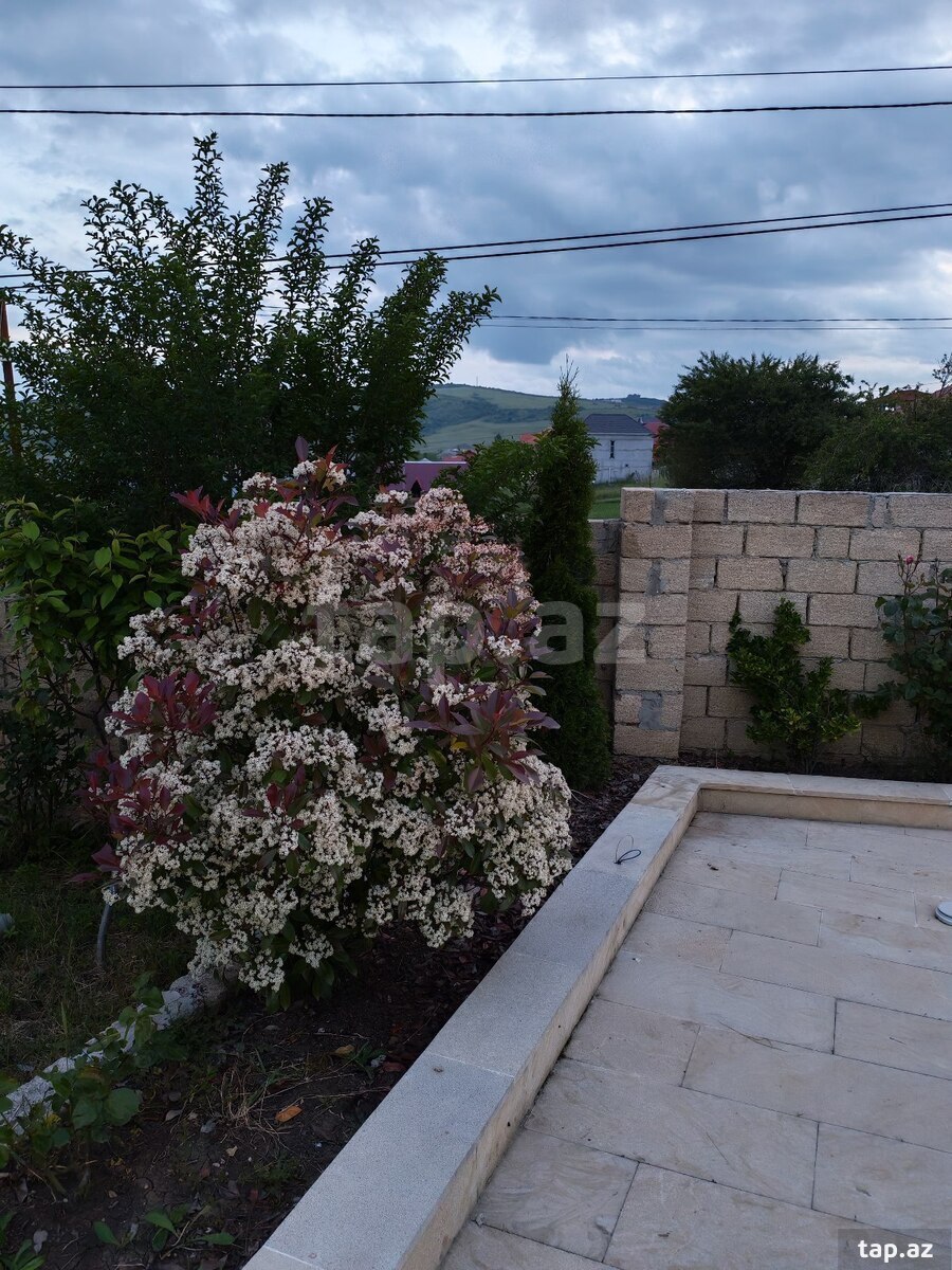 Bağ evi kirayə verilir, Şamaxı r. (16)
