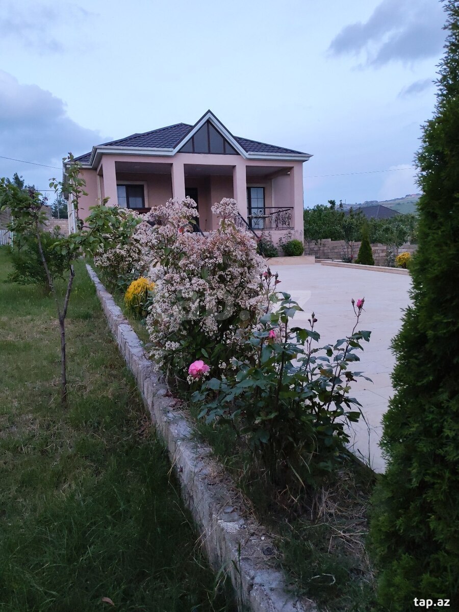 Bağ evi kirayə verilir, Şamaxı r. (14)