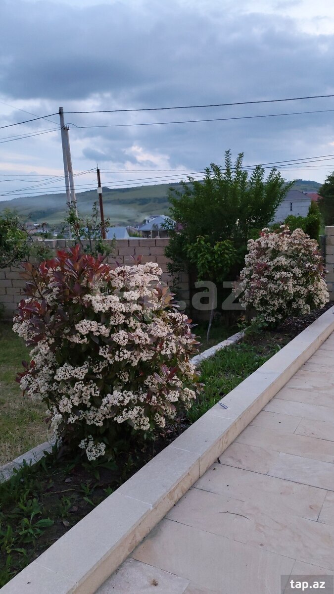 Bağ evi kirayə verilir, Şamaxı r. (17)