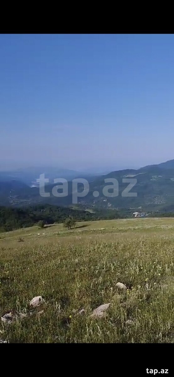 90 sot torpaq sahəsi, Şamaxı ş. (4)