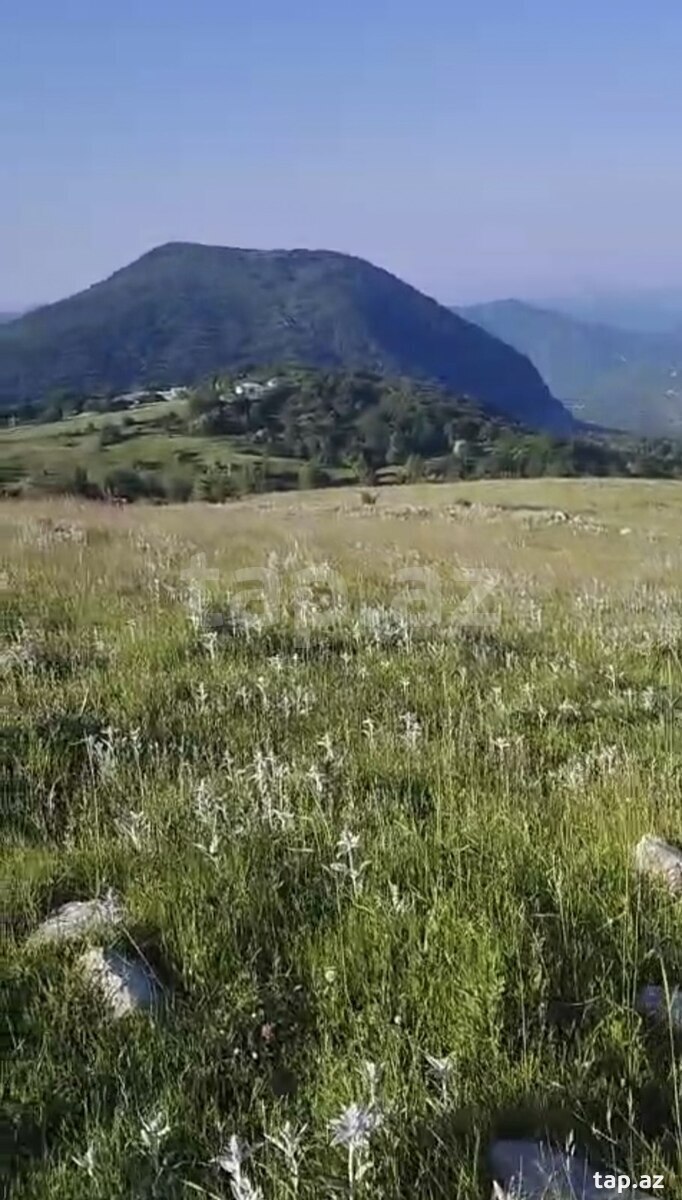 90 sot torpaq sahəsi, Şamaxı ş. (8)