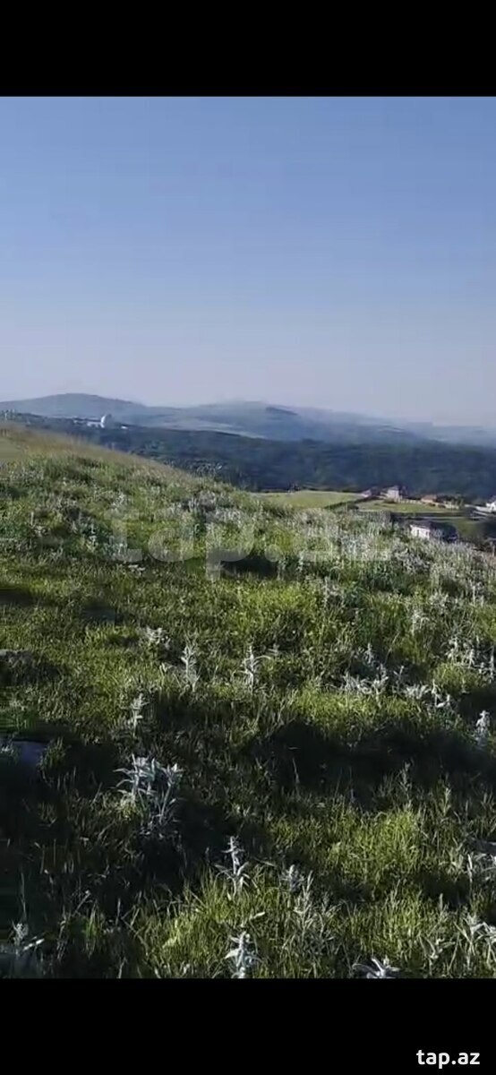 90 sot torpaq sahəsi, Şamaxı ş. (6)