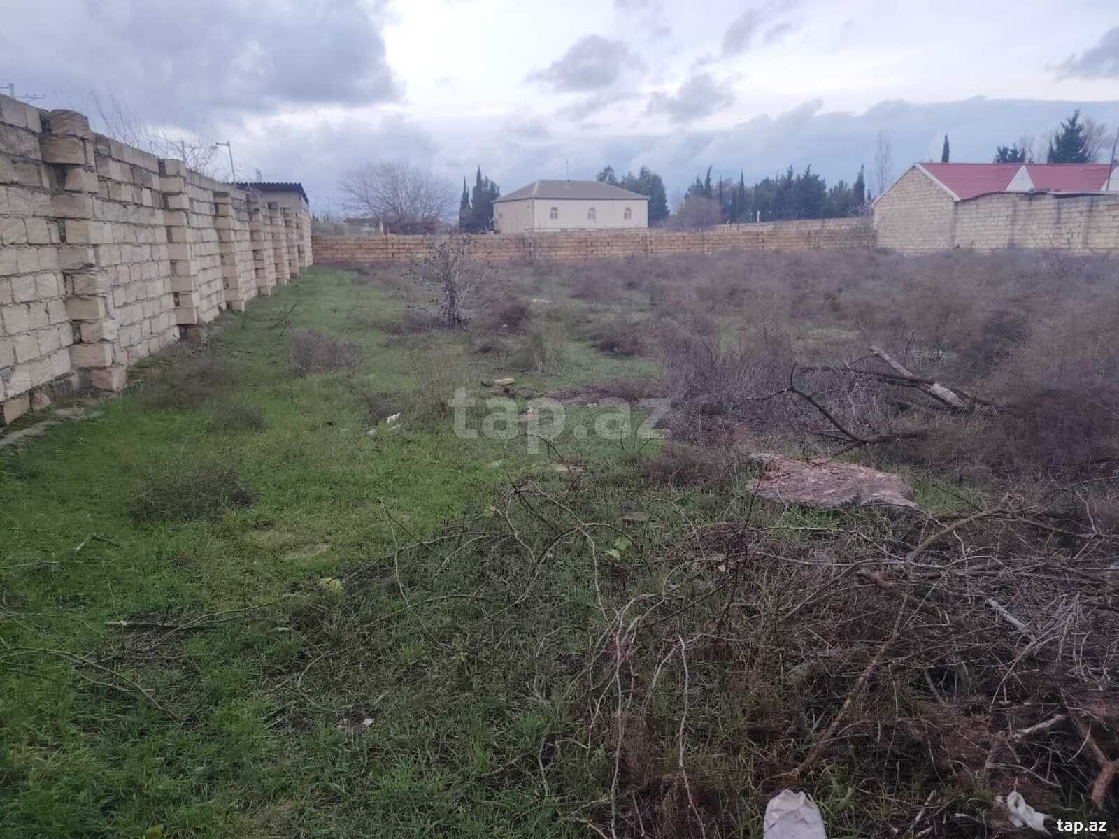 12 sot torpaq sahəsi, Görədil qəs.