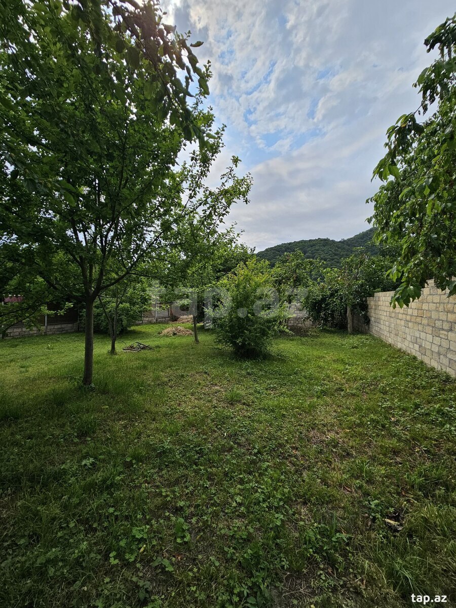 6.2 sot torpaq sahəsi, İsmayıllı r. (3)
