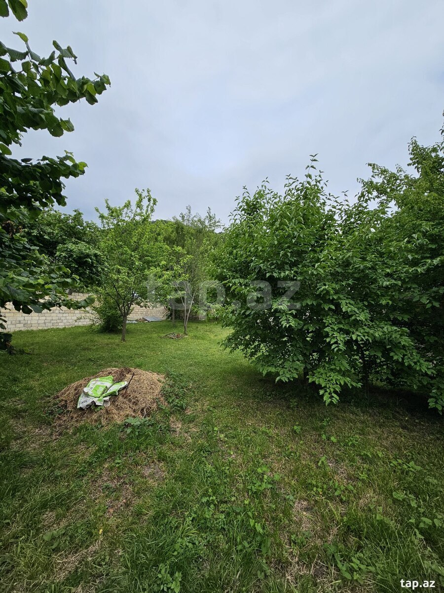 6.2 sot torpaq sahəsi, İsmayıllı r. (4)