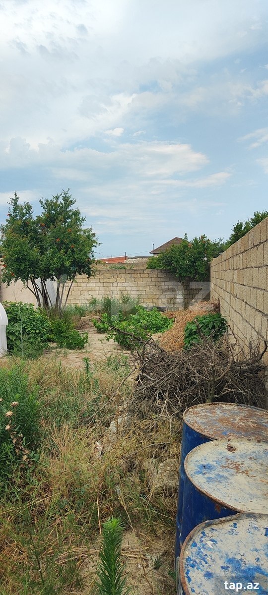 Bağ evi, Pirşağı qəs. (16)