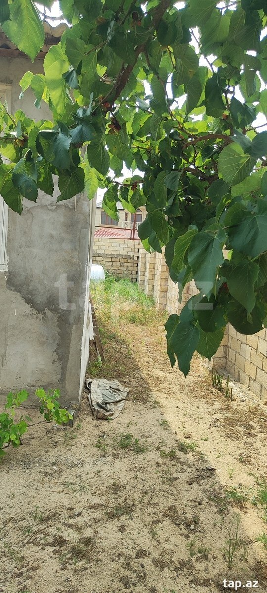 Bağ evi, Pirşağı qəs. (12)