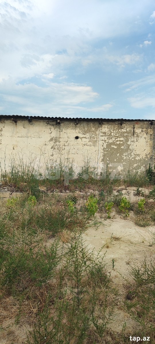 Bağ evi, Pirşağı qəs. (19)