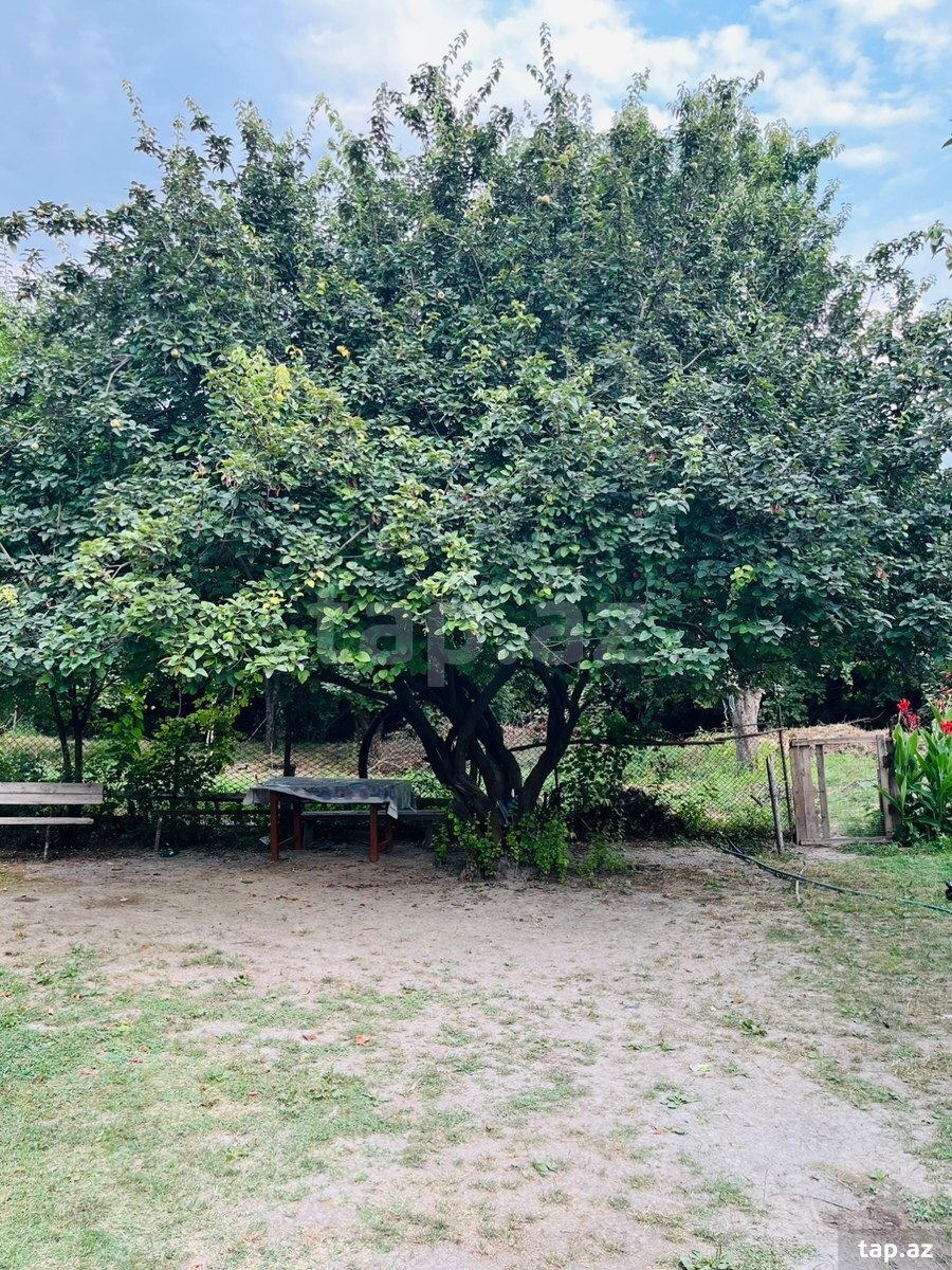 Bağ evi, Şəki r.