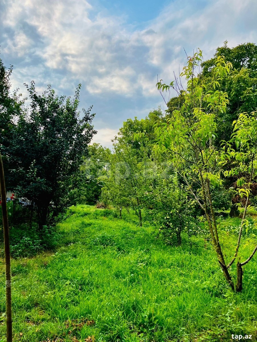Bağ evi, Şəki r.