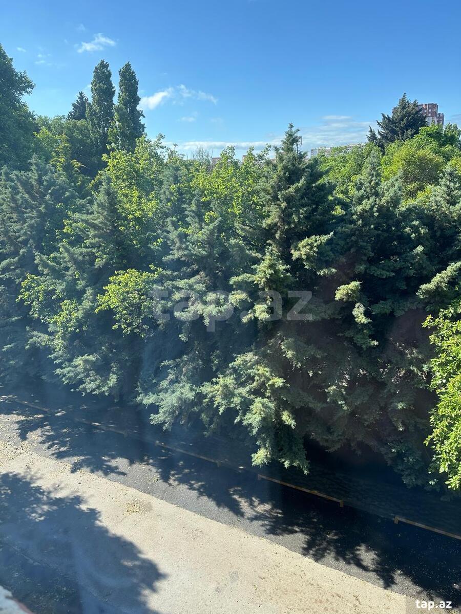 2-otaqlı mənzil kirayə verilir, 7-ci mkr., 40 m² (16)