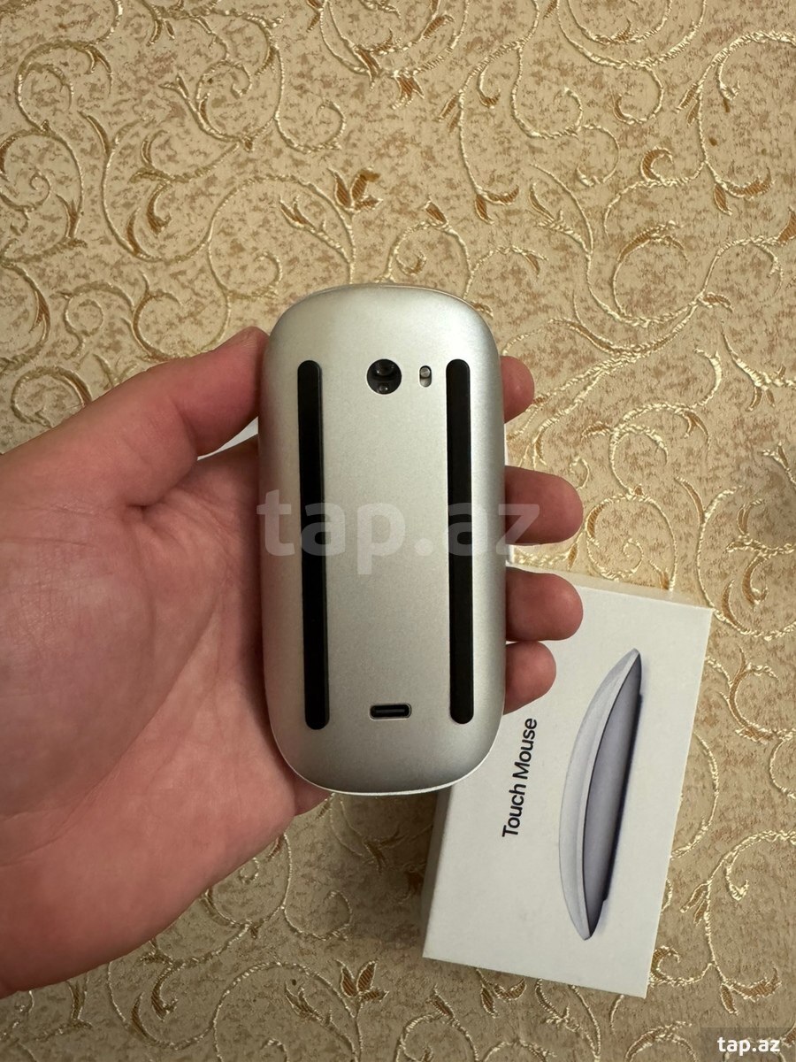 Magic mouse (2)
