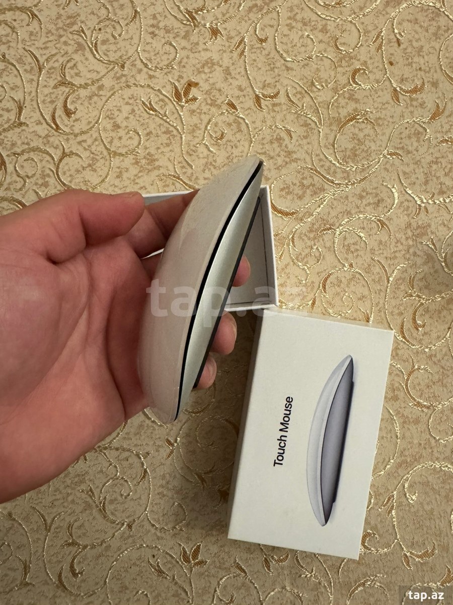 Magic mouse (3)