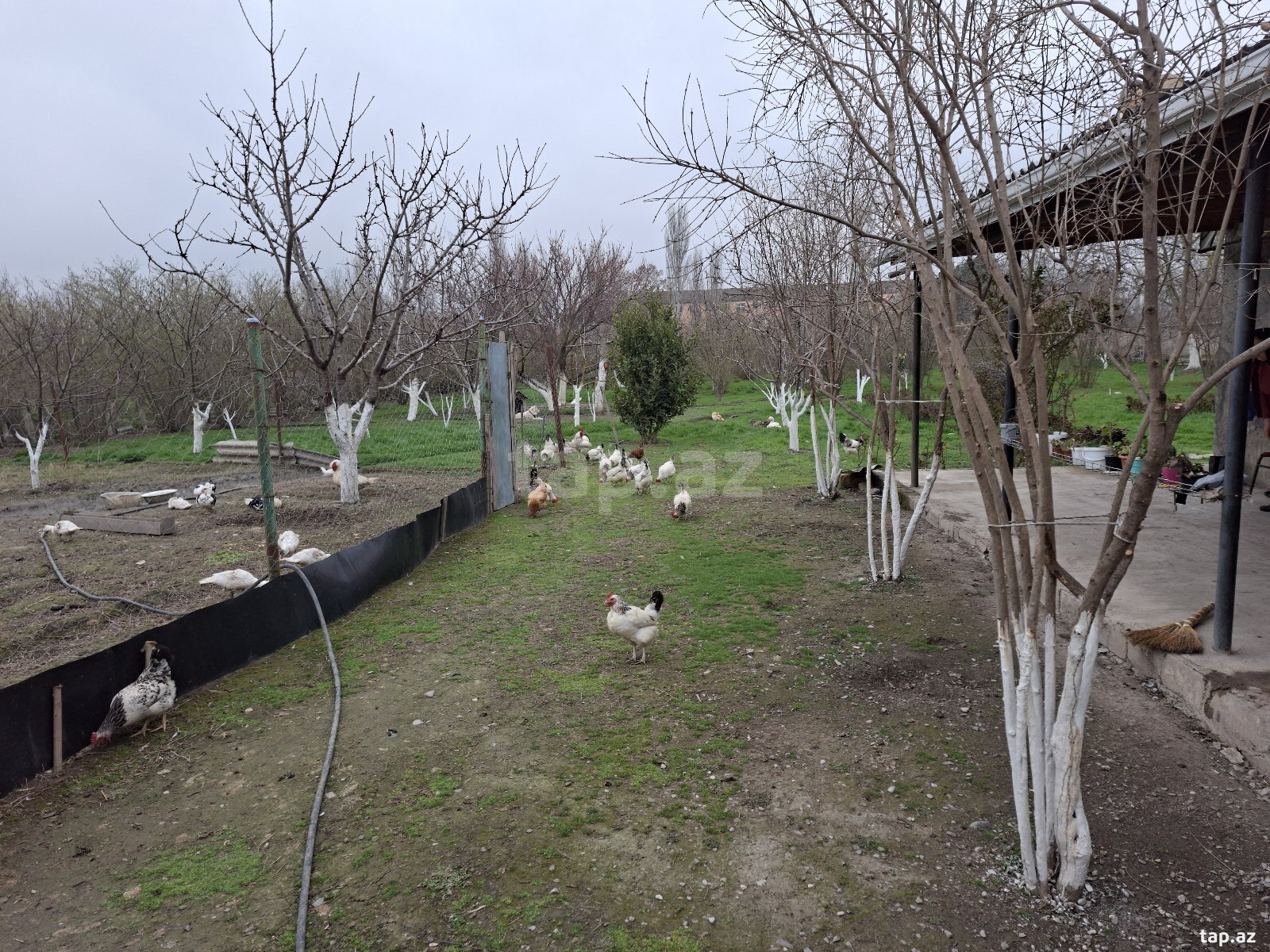 Həyət evi, Xaçmaz r. (5)