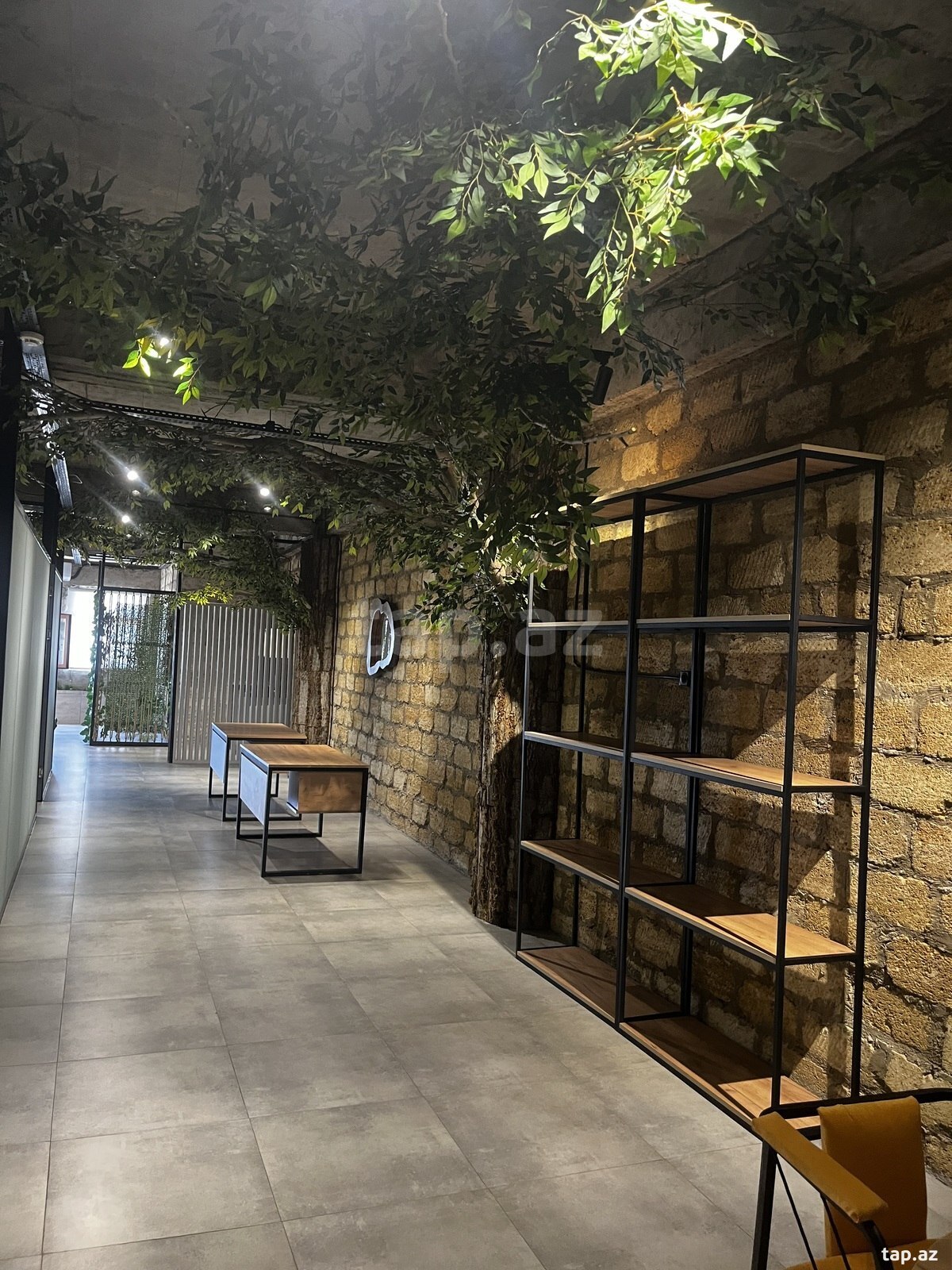 Ofis icarəyə verilir, 8 Noyabr pr. (2)