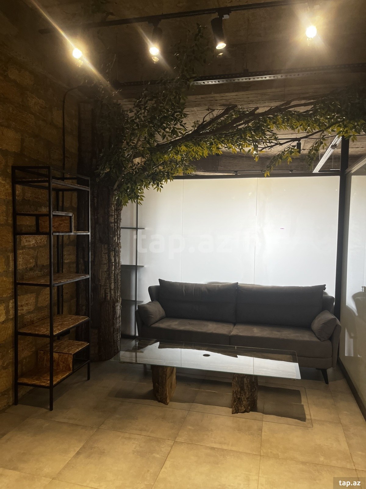 Ofis icarəyə verilir, 8 Noyabr pr. (6)