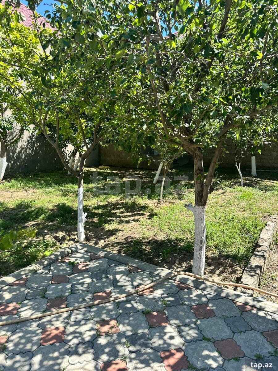 Həyət evi, Şuşa qəs. (10)