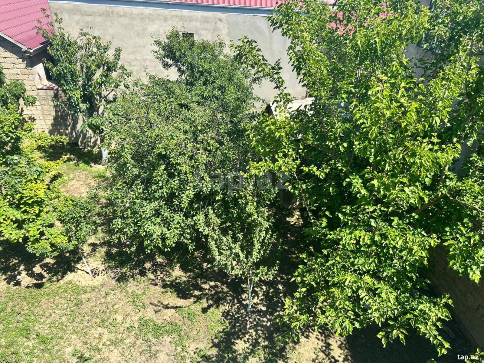 Həyət evi, Şuşa qəs. (5)