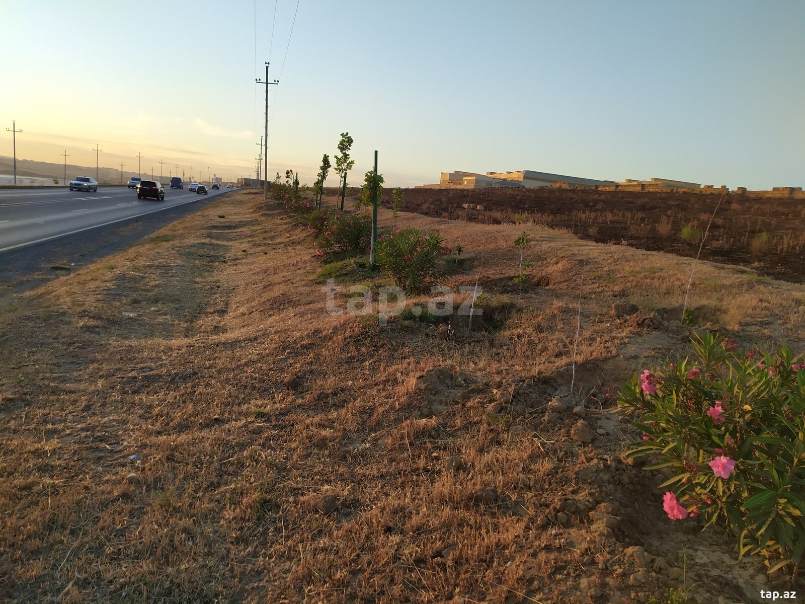 54 sot torpaq sahəsi, Mehdiabad qəs. (4)