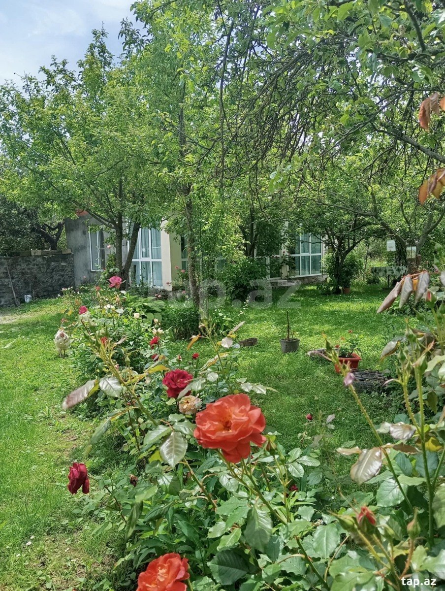 Həyət evi kirayə verilir, Qax r. (11)