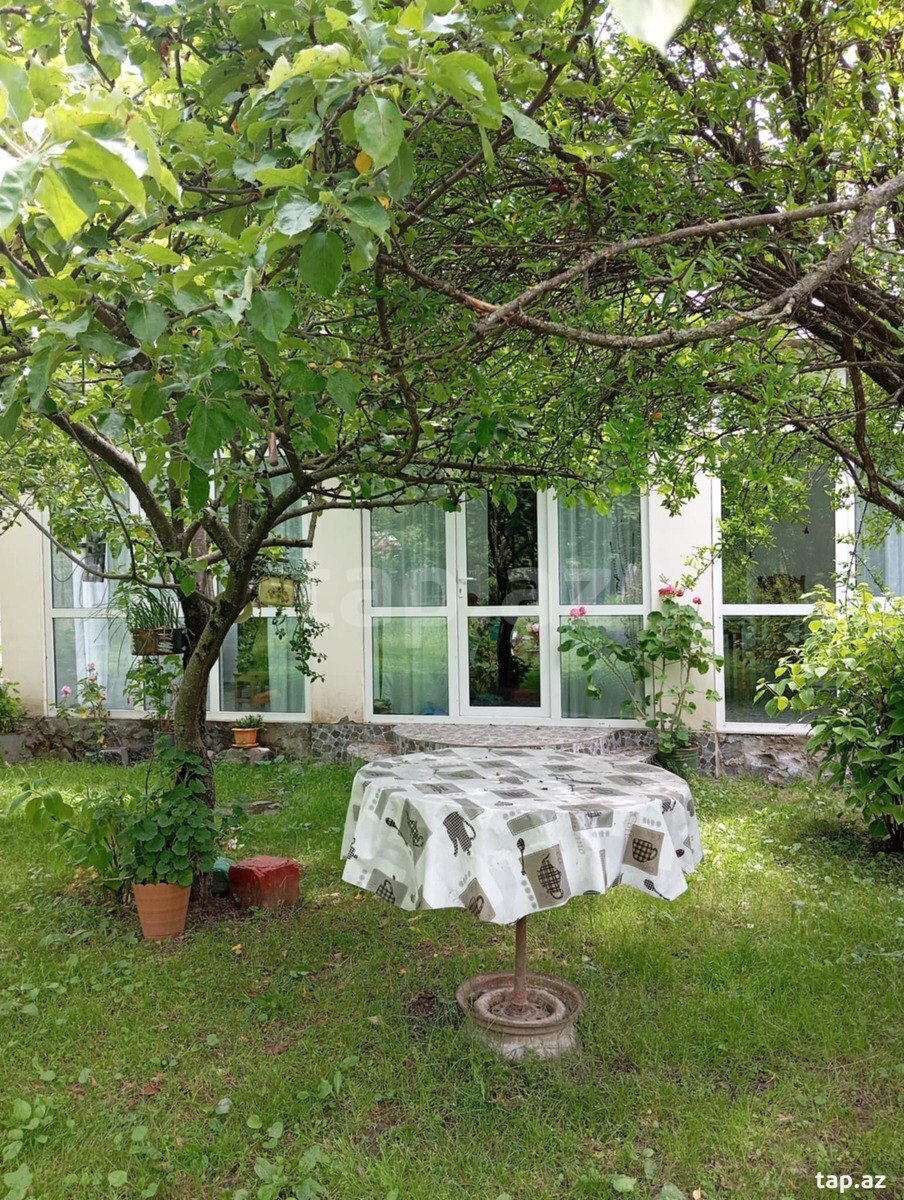 Həyət evi kirayə verilir, Qax r. (2)