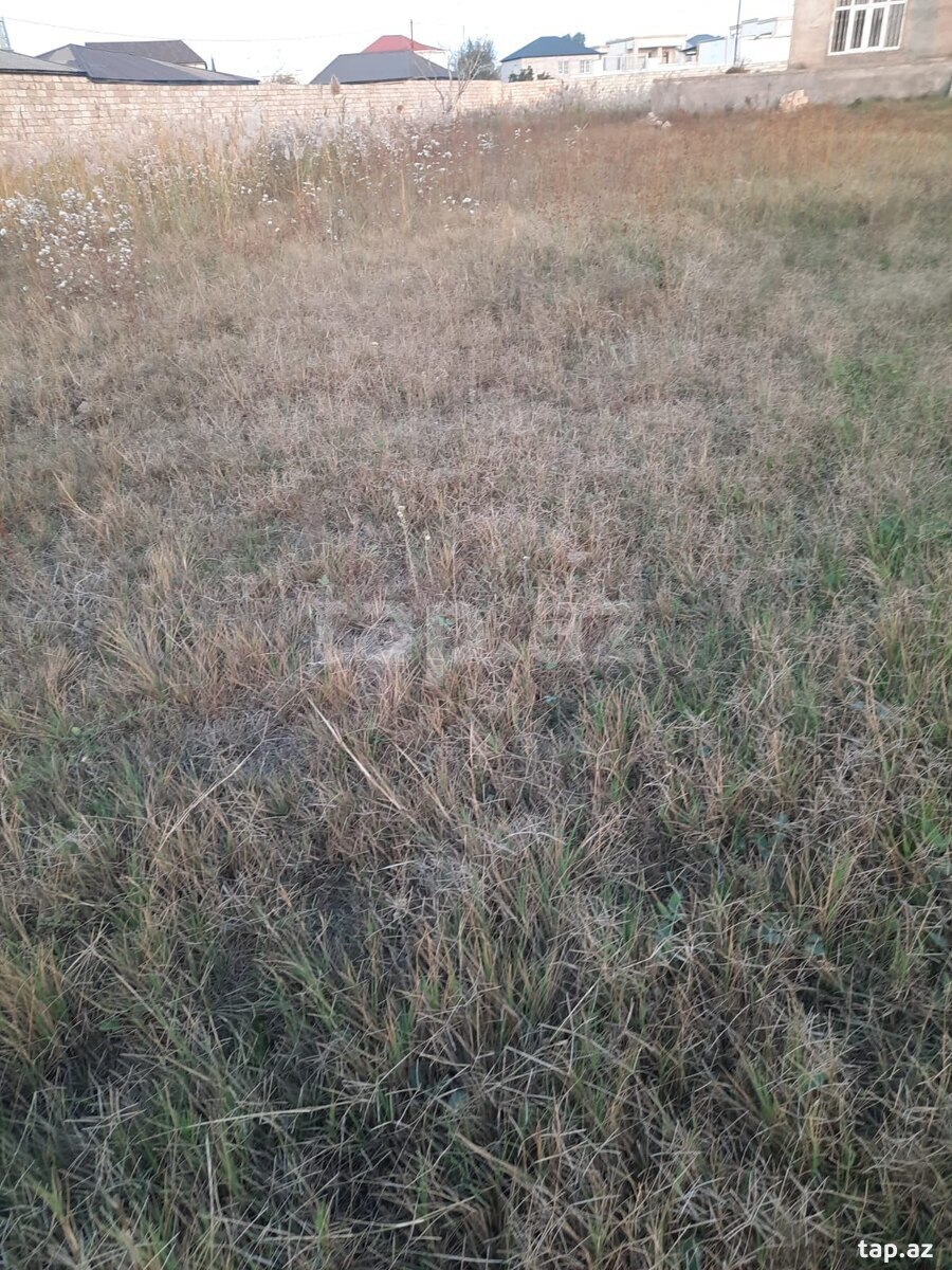 20 sot torpaq sahəsi, Nardaran qəs. (6)