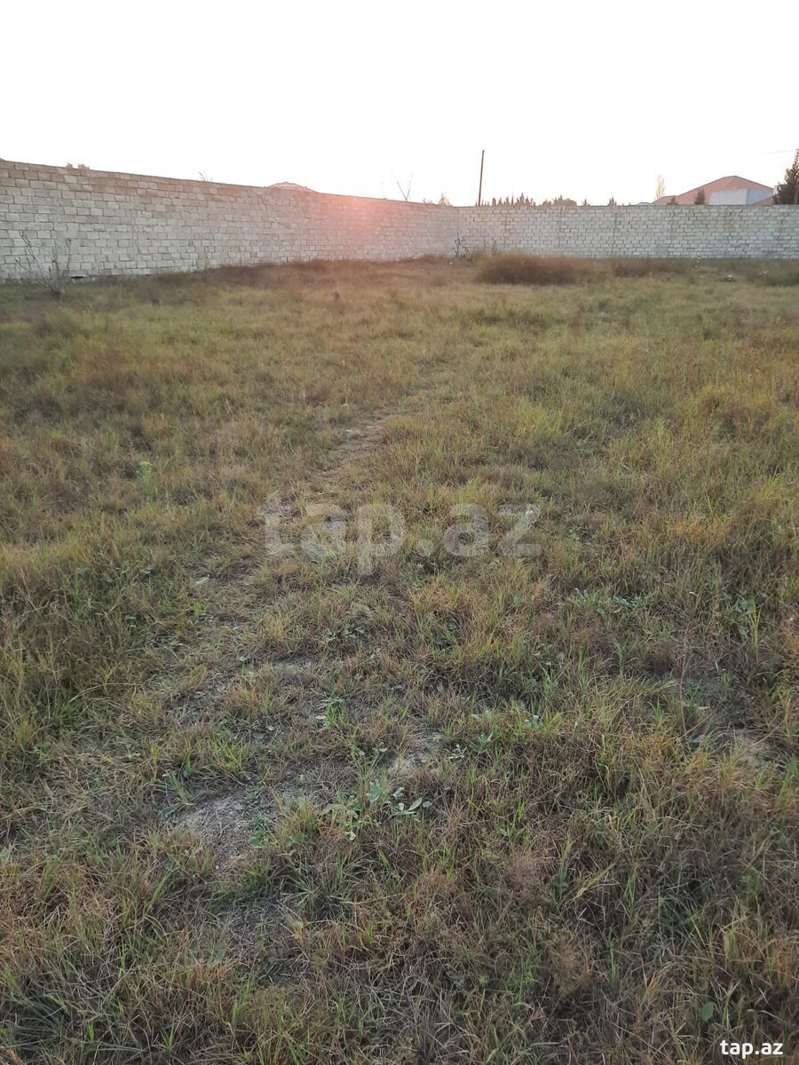 20 sot torpaq sahəsi, Nardaran qəs. (3)