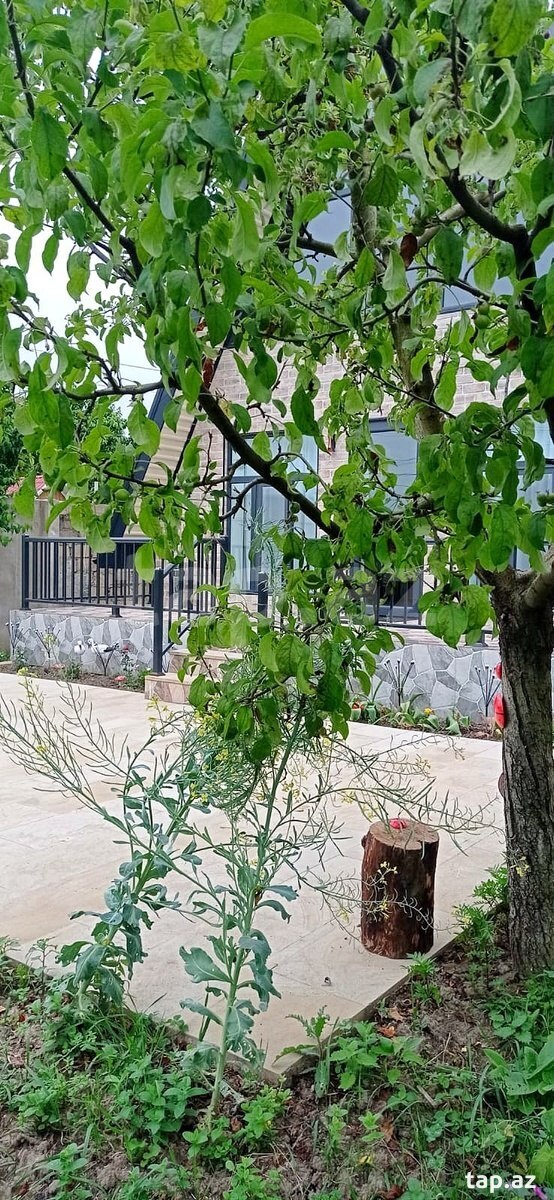 Həyət evi kirayə verilir, Quba r. (6)