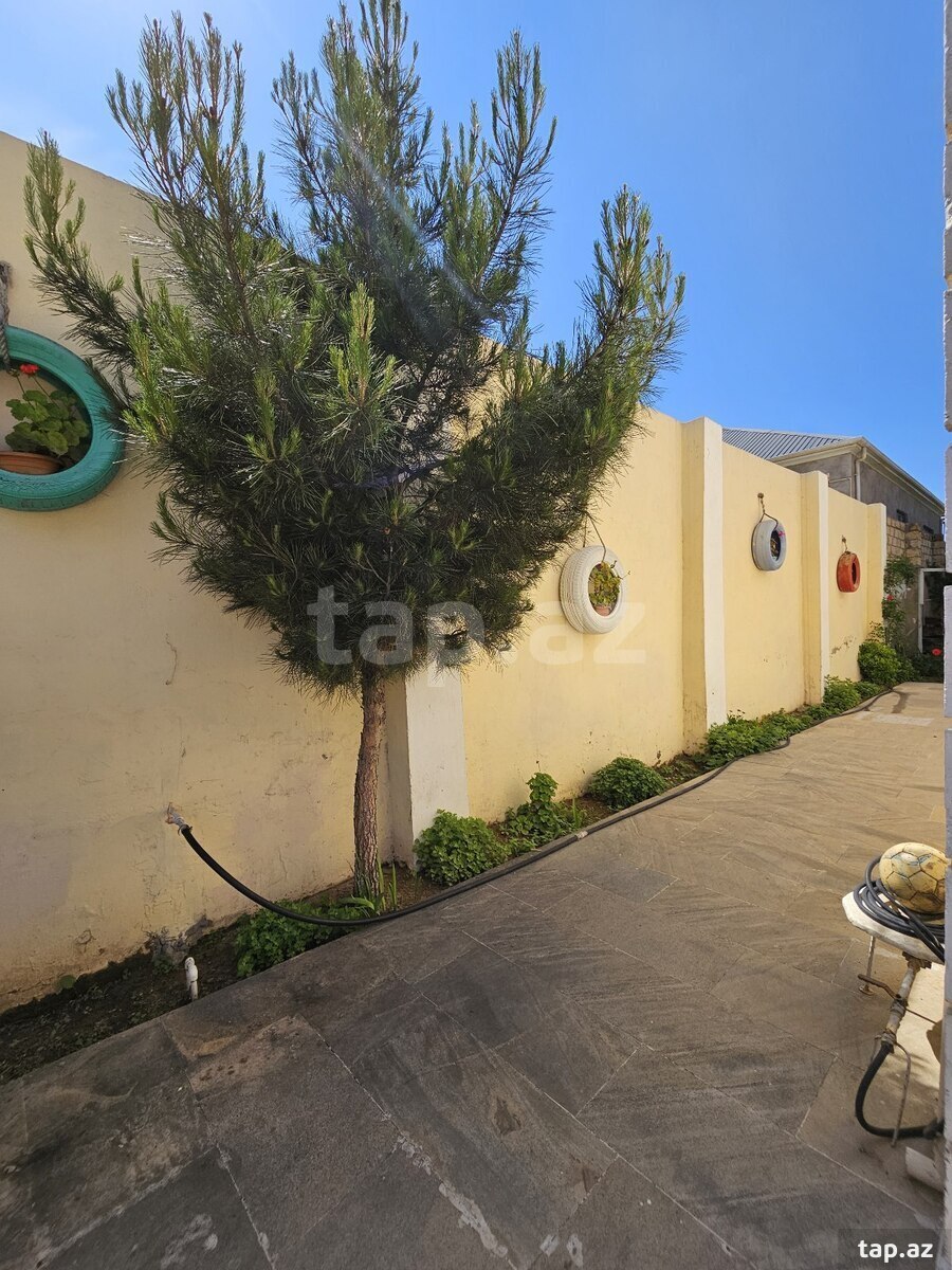 Bağ evi, Saray qəs. (24)