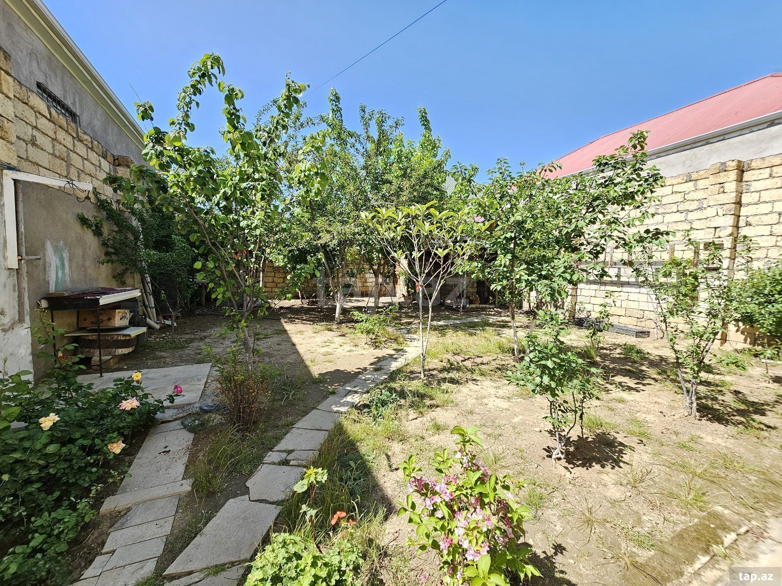 Bağ evi, Saray qəs. (28)