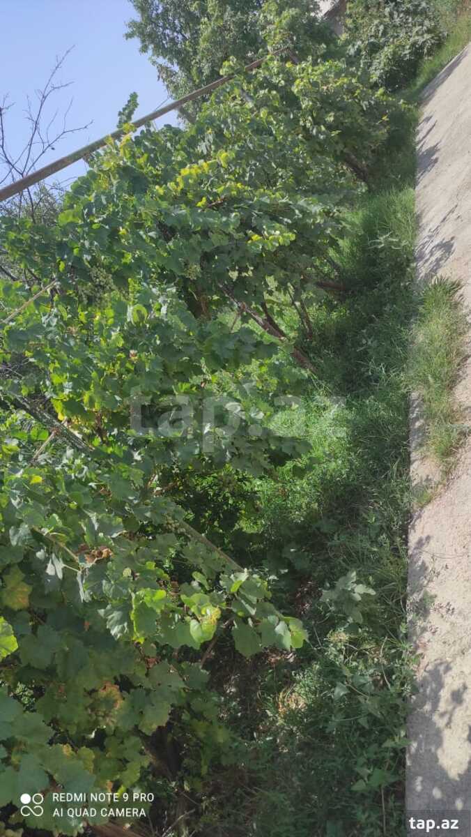 Həyət evi, Qaraçuq məh. (6)