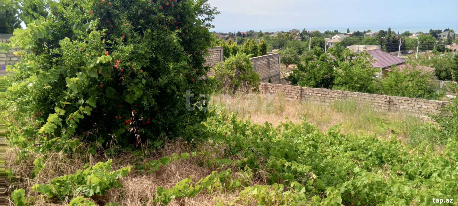 16.5 sot torpaq sahəsi, Görədil qəs. (16)