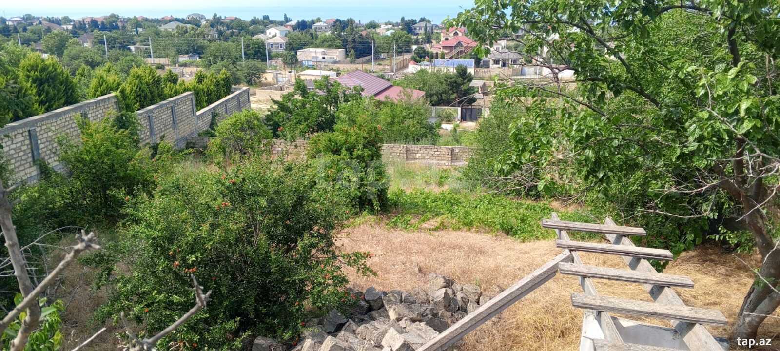 16.5 sot torpaq sahəsi, Görədil qəs. (14)