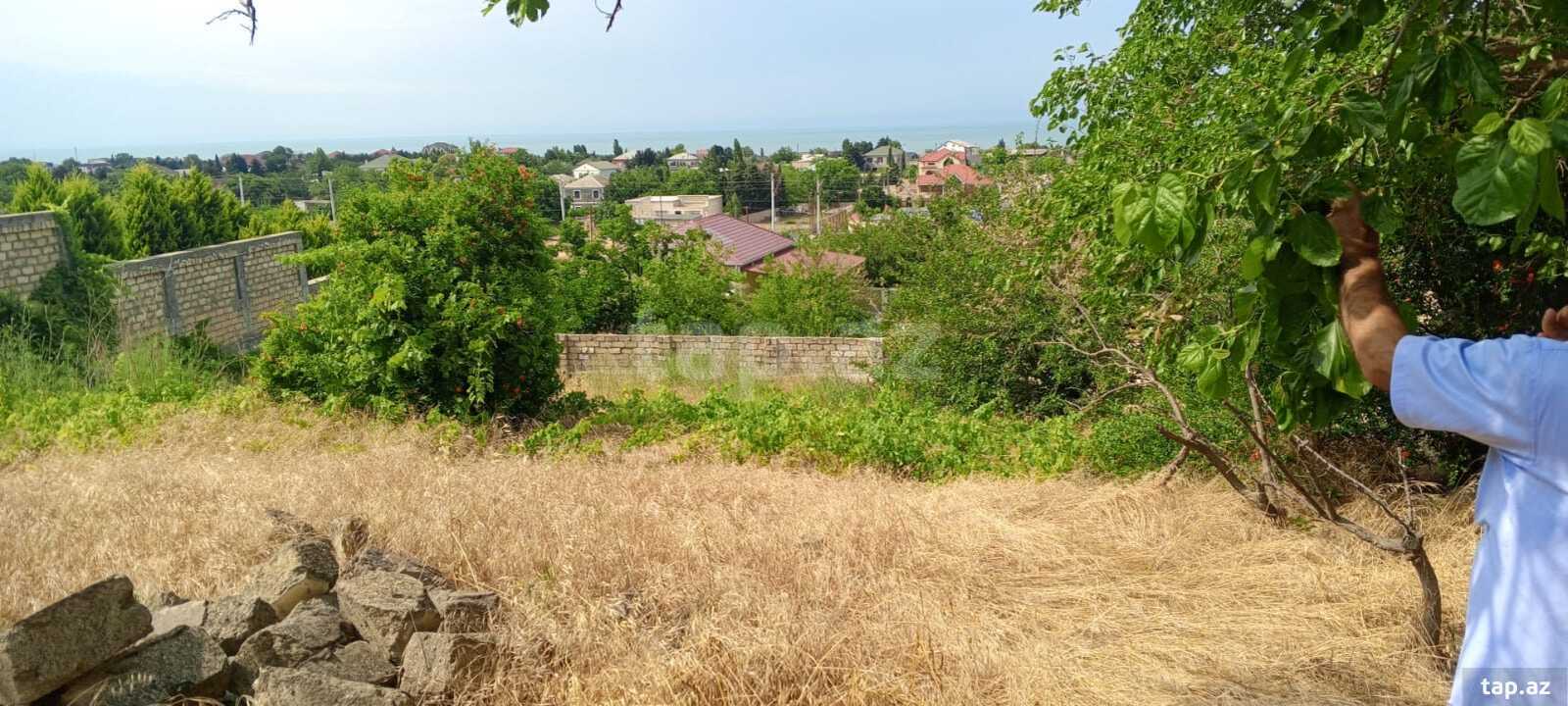 16.5 sot torpaq sahəsi, Görədil qəs. (8)