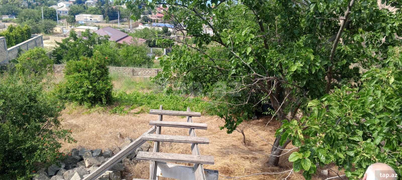 16.5 sot torpaq sahəsi, Görədil qəs. (10)