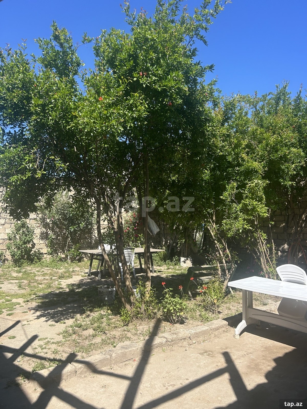 Həyət evi, Mərdəkan qəs. (4)