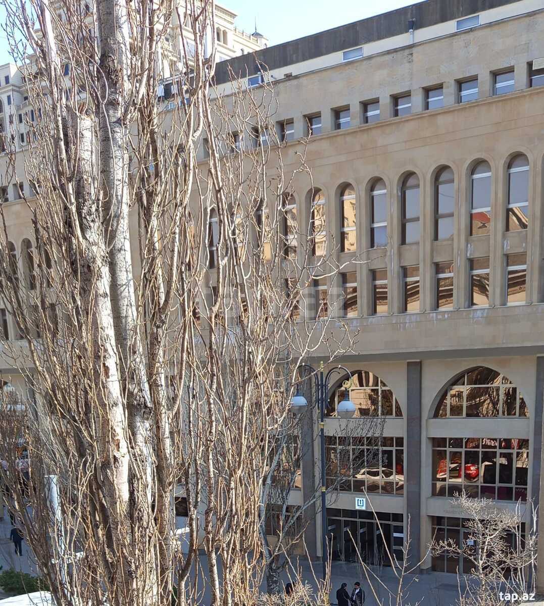 Ofis icarəyə verilir, Elmlər Akademiyası m.