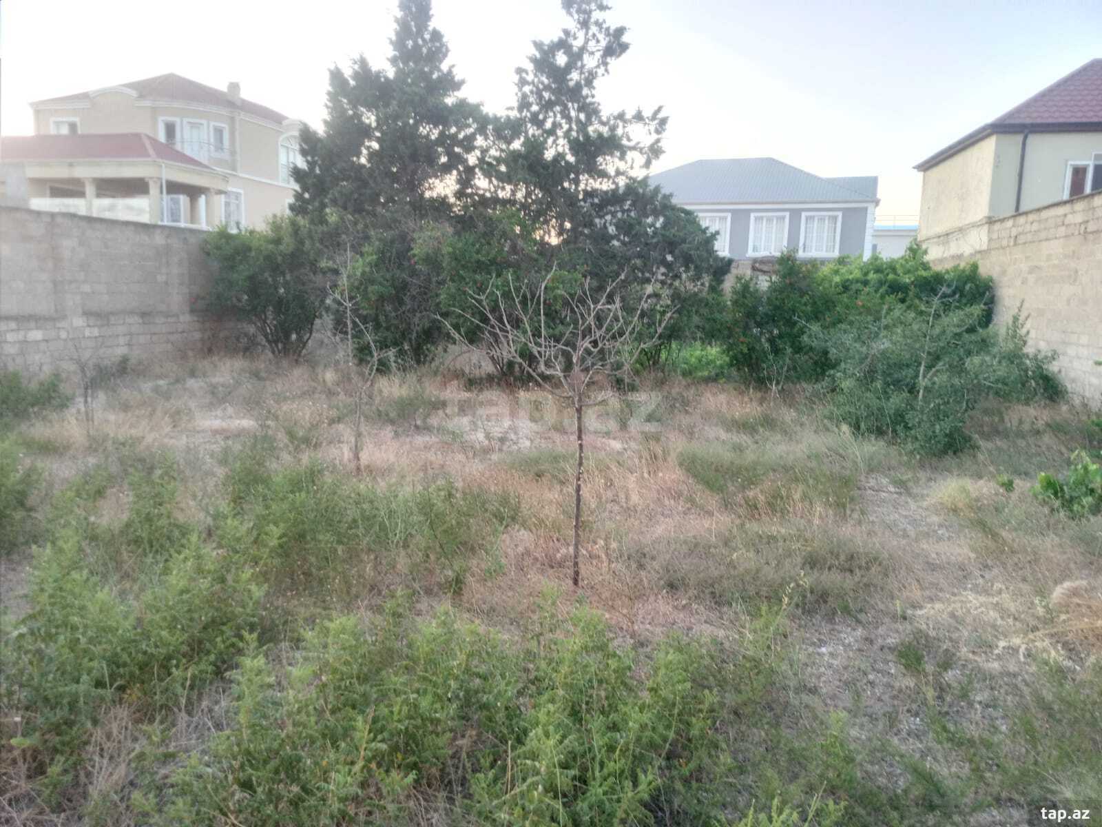 11 sot torpaq sahəsi, Mərdəkan qəs. (6)