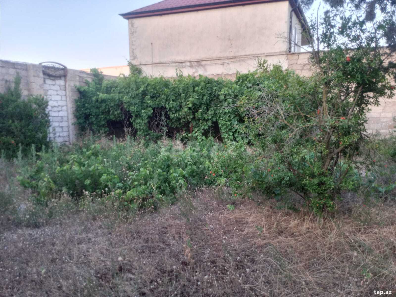 11 sot torpaq sahəsi, Mərdəkan qəs. (2)