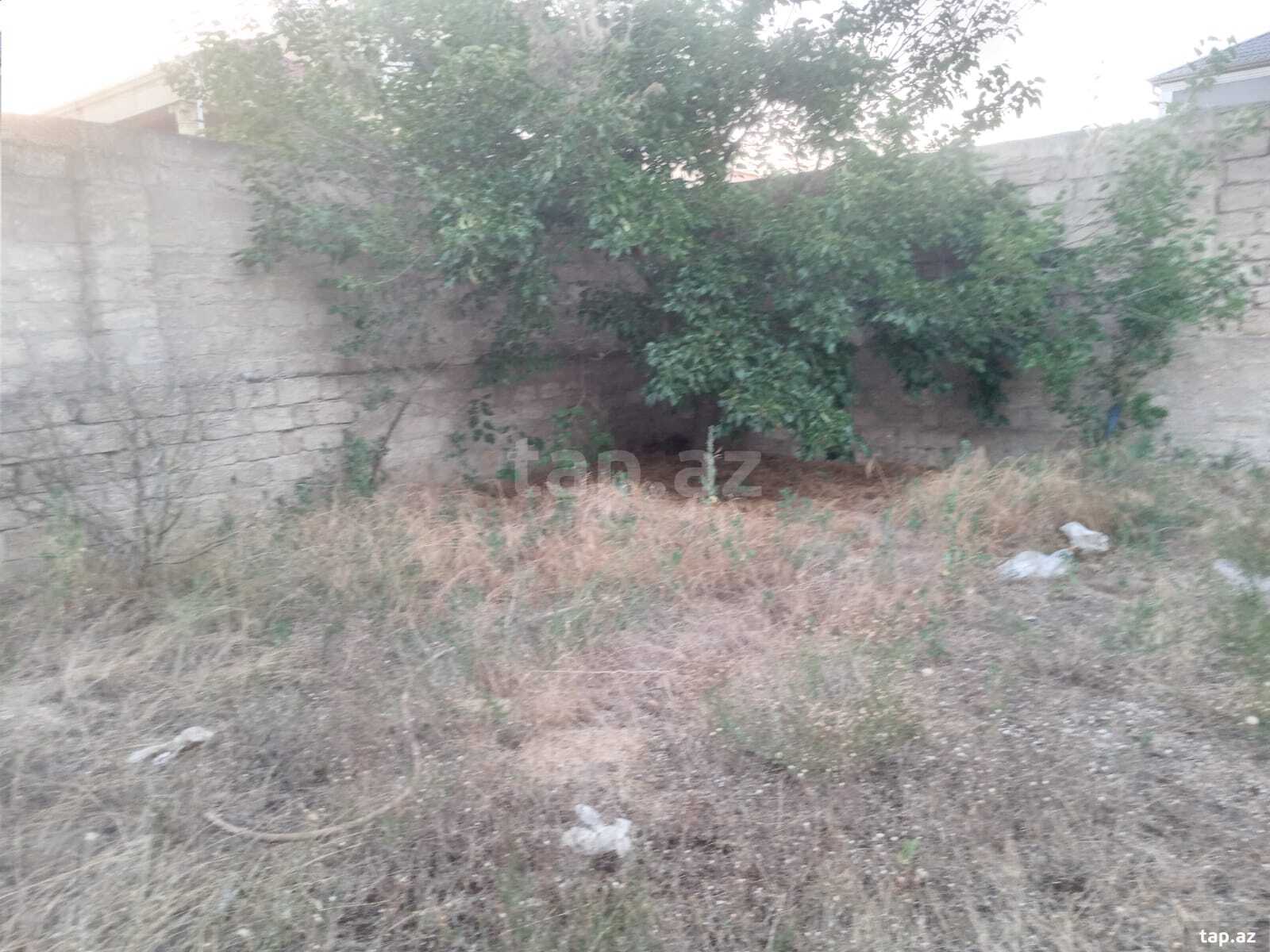 11 sot torpaq sahəsi, Mərdəkan qəs. (3)