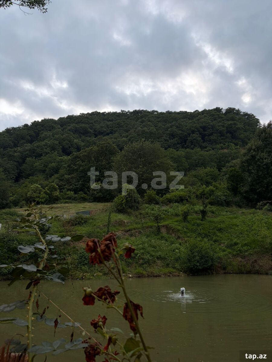 30 sot torpaq sahəsi, Qəbələ r. (3)
