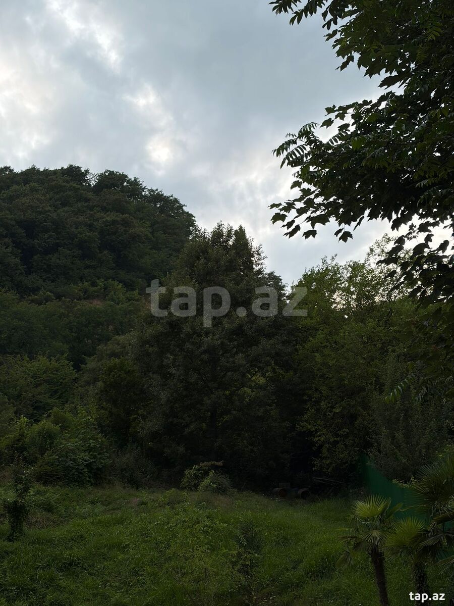 30 sot torpaq sahəsi, Qəbələ r. (4)