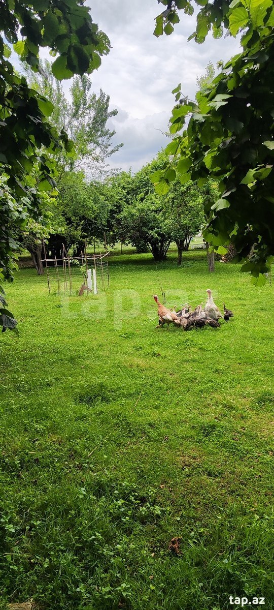 10 sot torpaq sahəsi, Topçu kəndi (2)