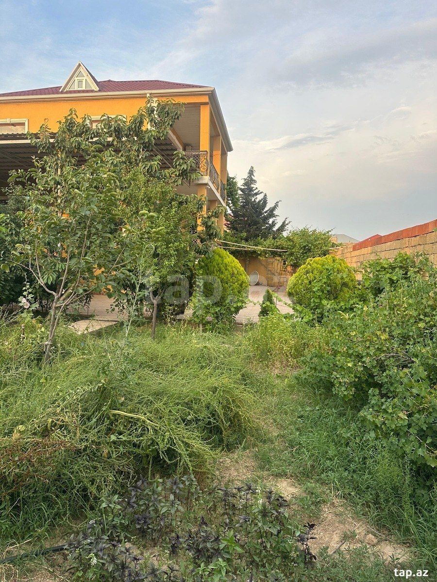 Həyət evi, Mehdiabad qəs. (10)