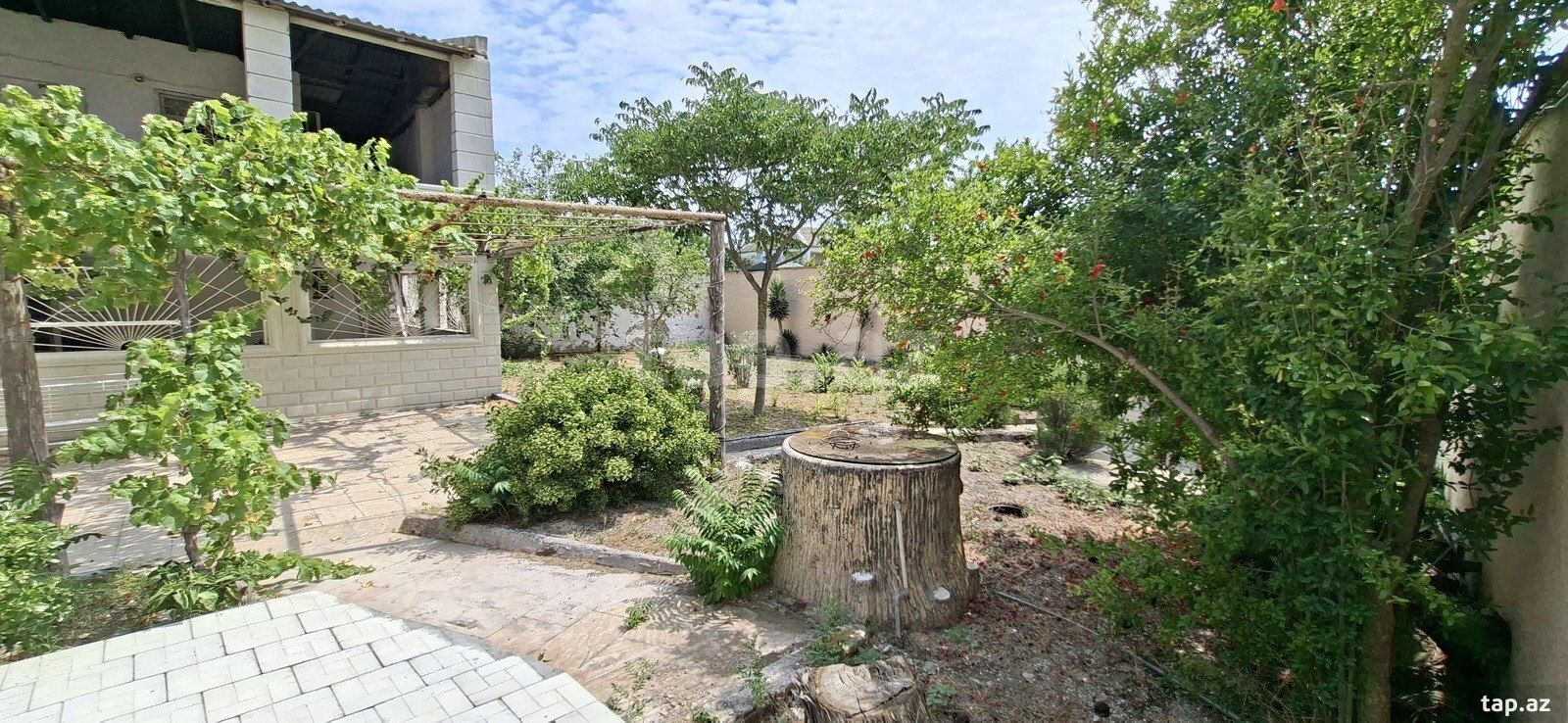 Bağ evi, Türkan qəs. (3)