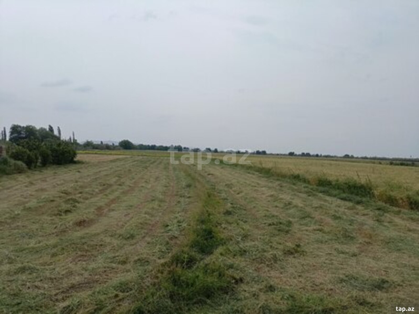 4000 sot torpaq sahəsi, Sabirabad r.