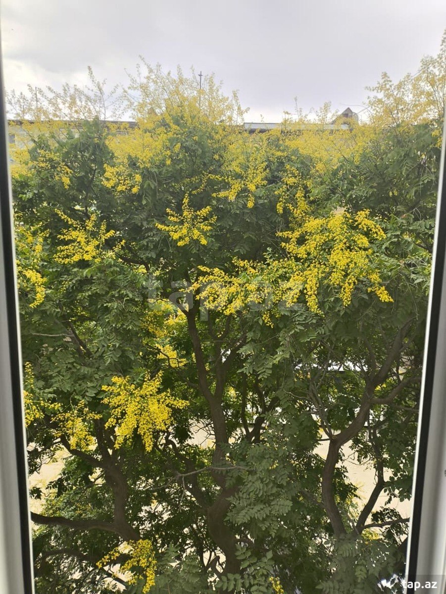2-otaqlı mənzil, Hacı Zeynalabdin Tağıyev qəs., 50 m² (8)